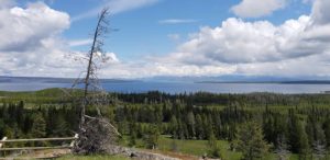 View of Yellowstone Lake from top of Trail